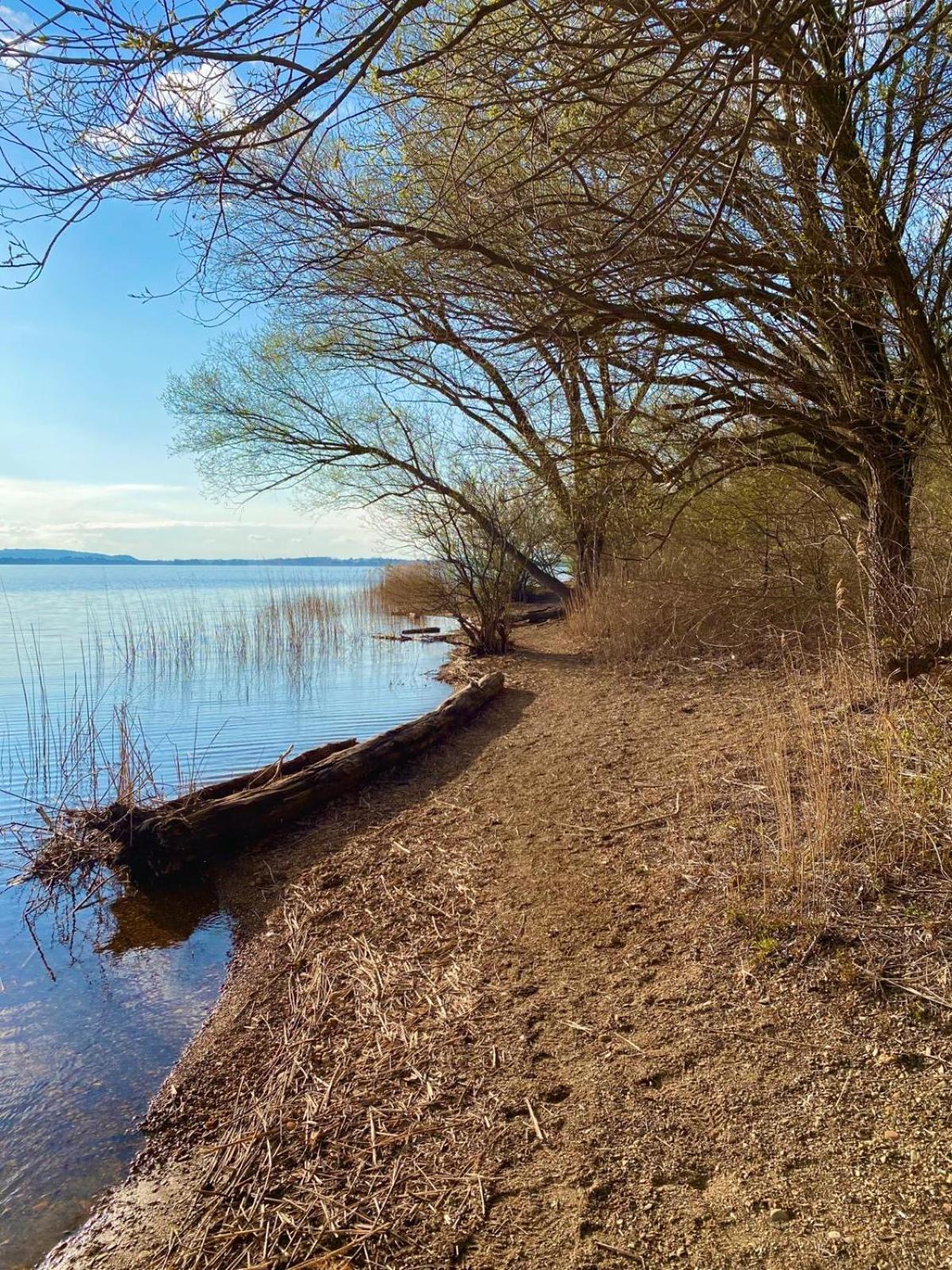 Chiemgauloft , 5 Sterne Ferienwohnung Am Chiemsee Übersee Eksteriør billede